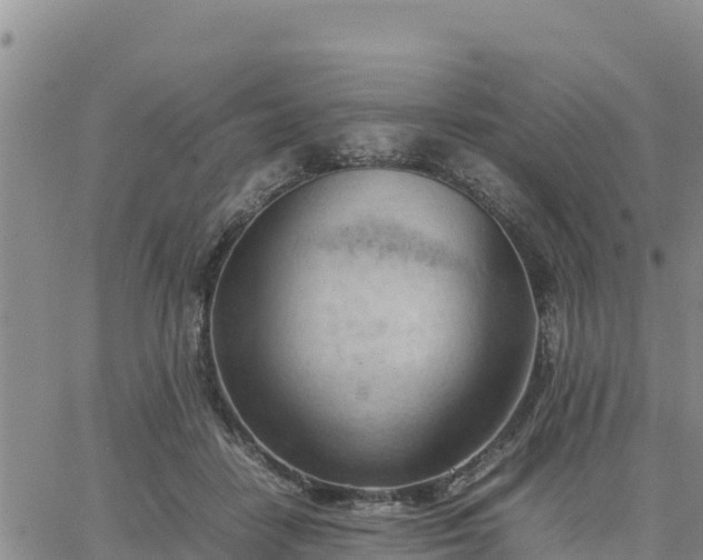 X0000064750458200602171737