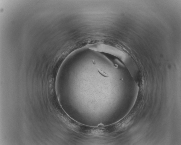 X0000064750462200602171737