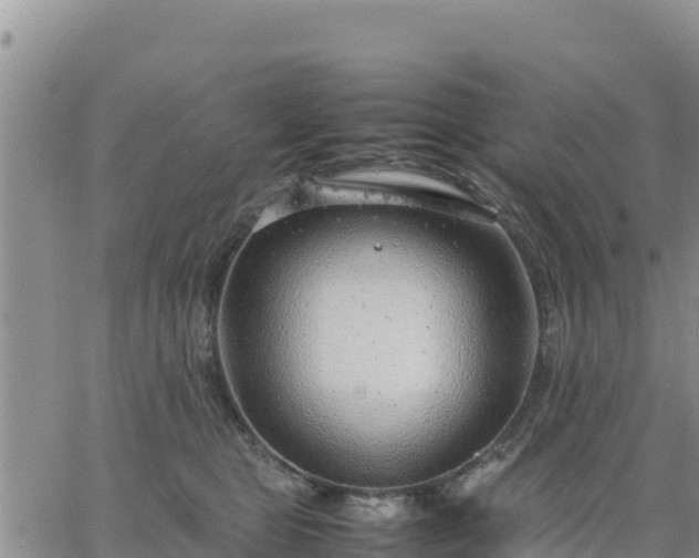 X0000064750469200602171737