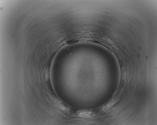 X0000064750471200602171738