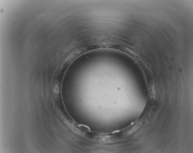 X0000064750472200602171738