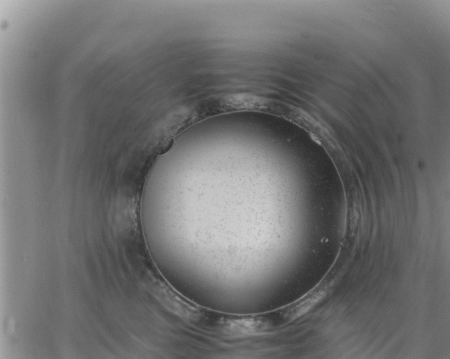 X0000064750473200602171738