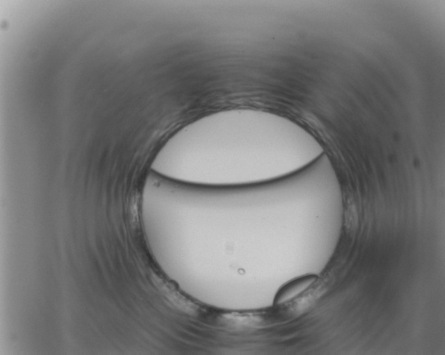 X0000064750477200602171738