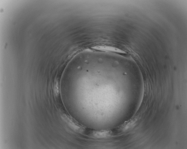 X0000064750479200602171738