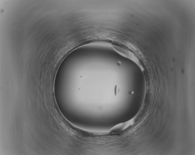 X0000064750481200602171737