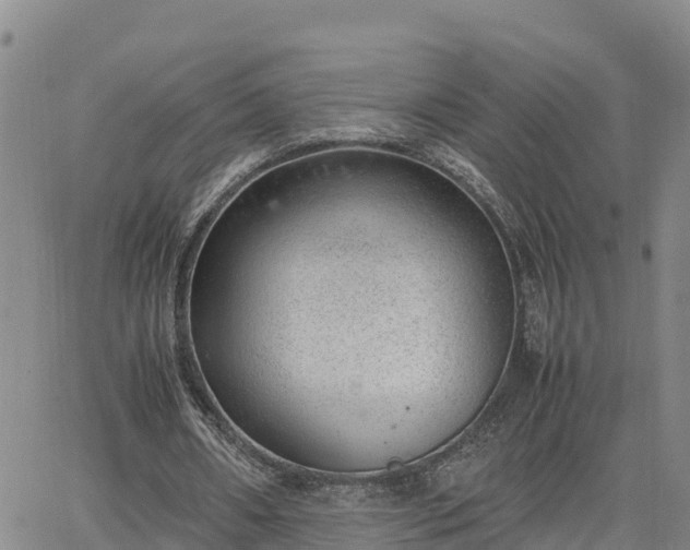 X0000064750482200602171737