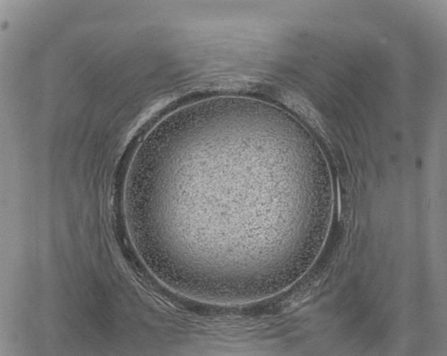 X0000064750483200602171737