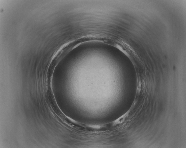 X0000064750484200602171737