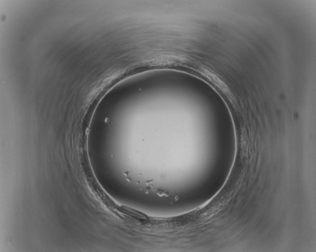 X0000064750485200602171737