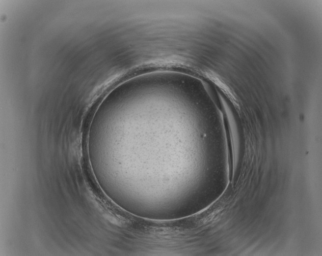 X0000064750486200602171737