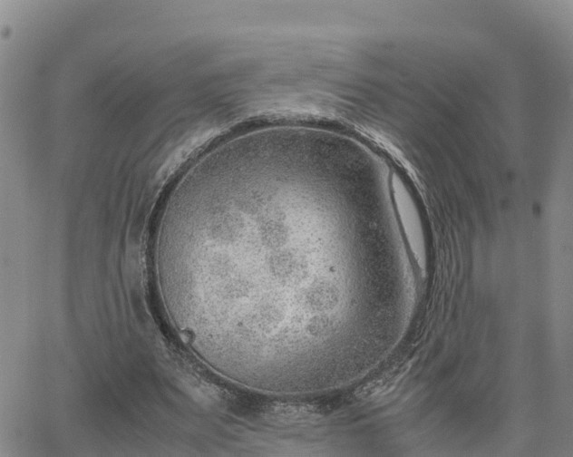 X0000064750487200602171737