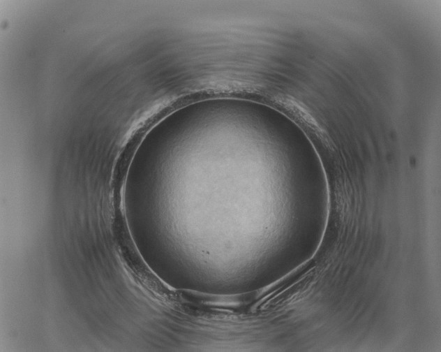 X0000064750488200602171737