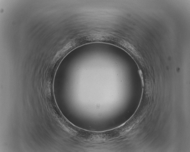 X0000064750489200602171737