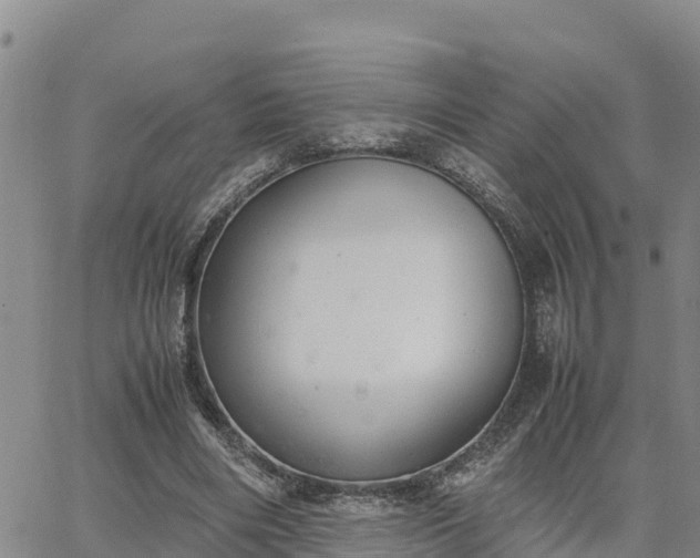 X0000064750490200602171737