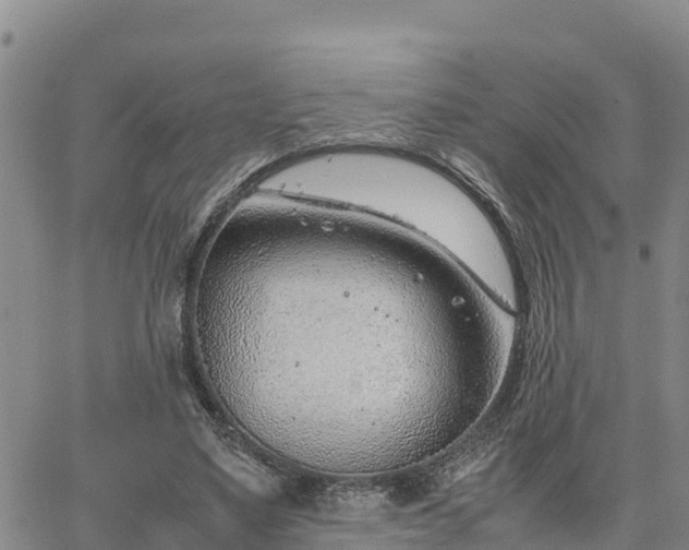 X0000064750491200602171737