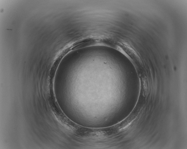 X0000064750492200602171737