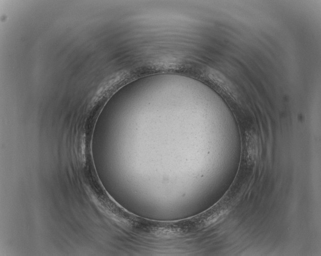 X0000064750494200602171737