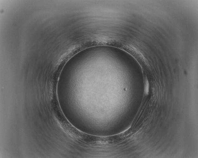 X0000064750496200602171737