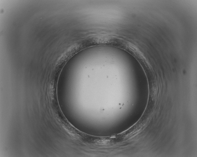 X0000064750497200602171737