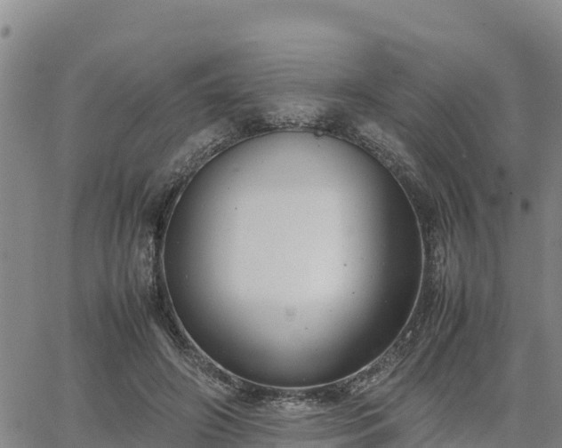 X0000064750498200602171737