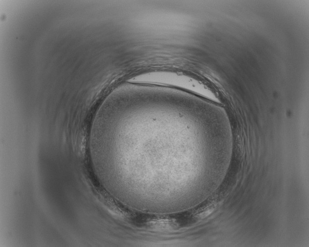 X0000064750499200602171737