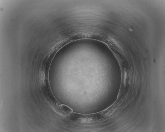 X0000064750500200602171737