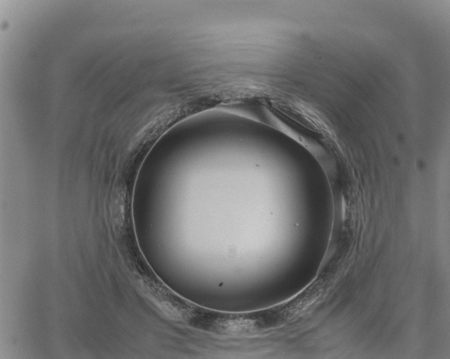 X0000064750501200602171737