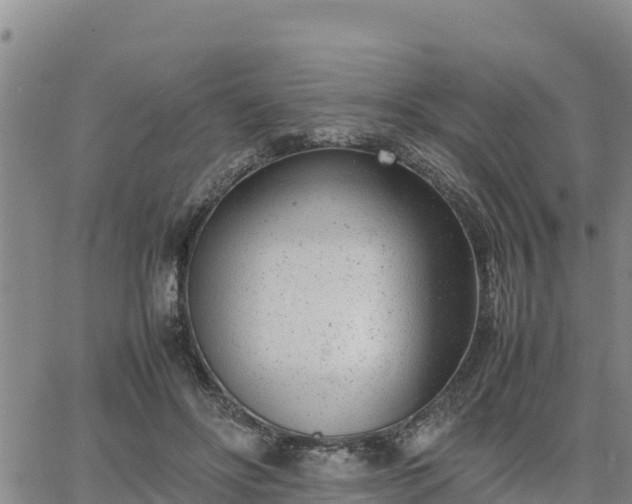 X0000064750502200602171737