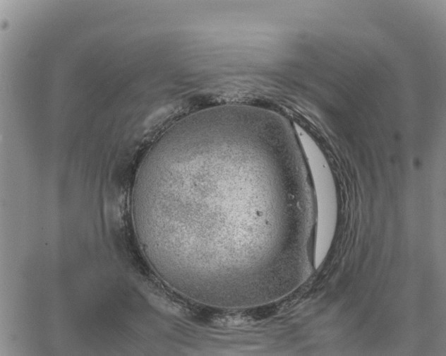 X0000064750503200602171736