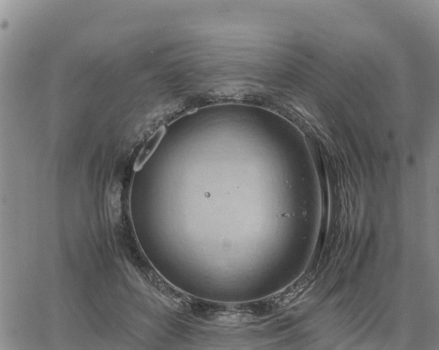 X0000064750504200602171736