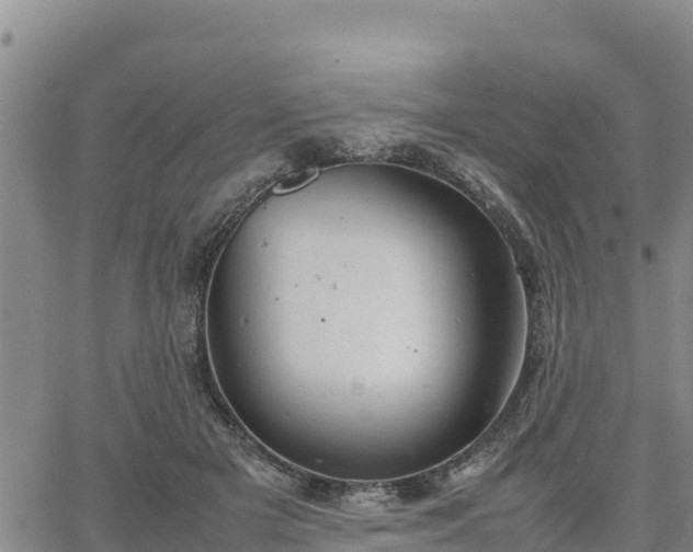 X0000064750505200602171736