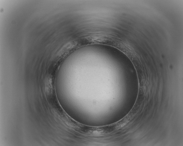 X0000064750506200602171736