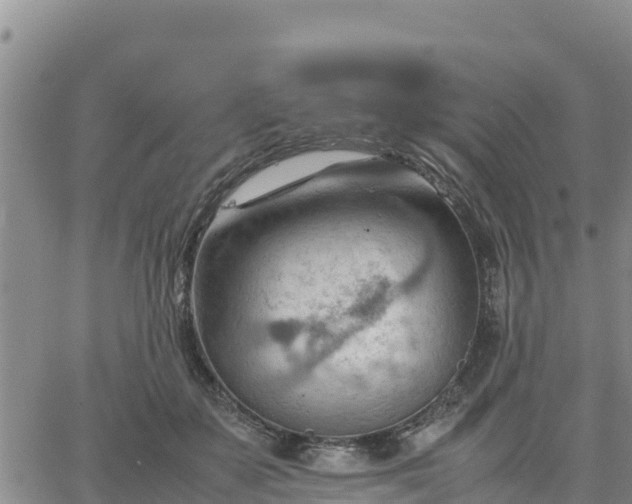 X0000064750507200602171736