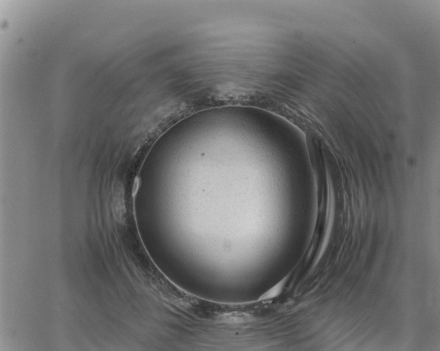 X0000064750508200602171736