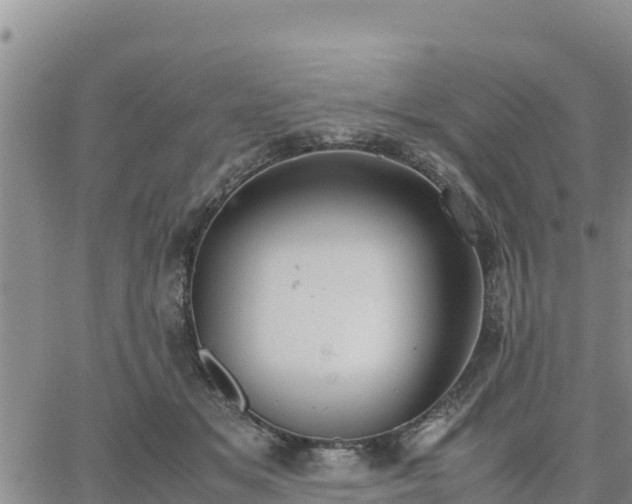 X0000064750509200602171736