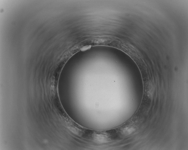 X0000064750510200602171736