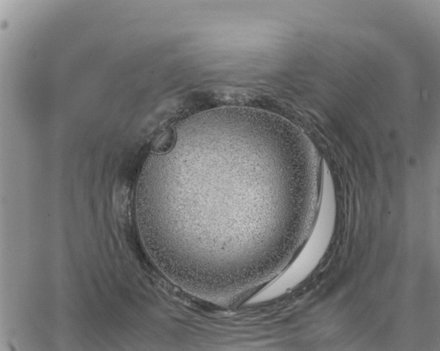 X0000064750511200602171736