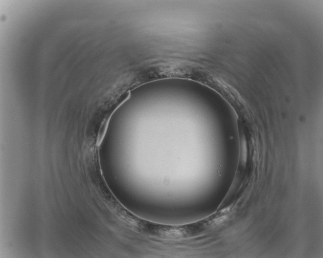 X0000064750513200602171736