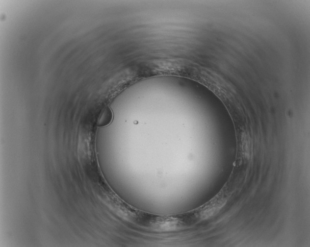 X0000064750514200602171736