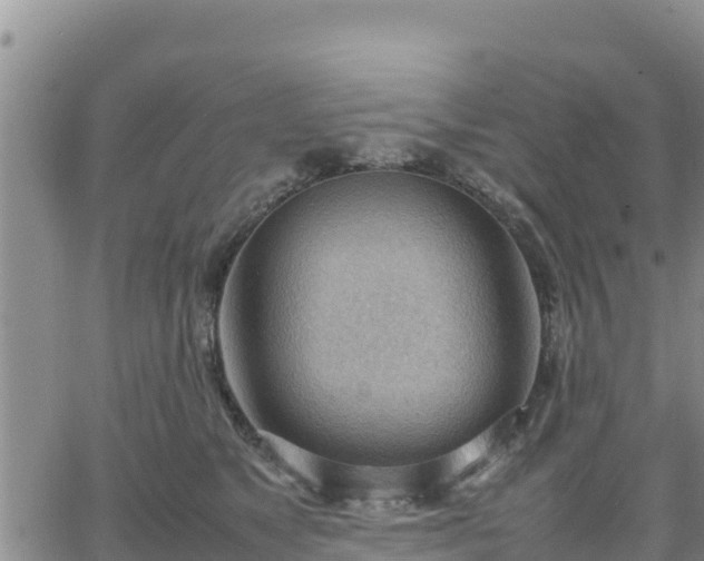 X0000064750517200602171736