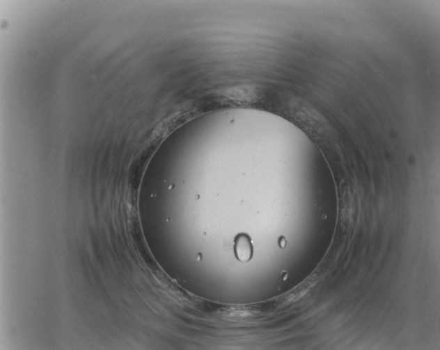 X0000064750518200602171736