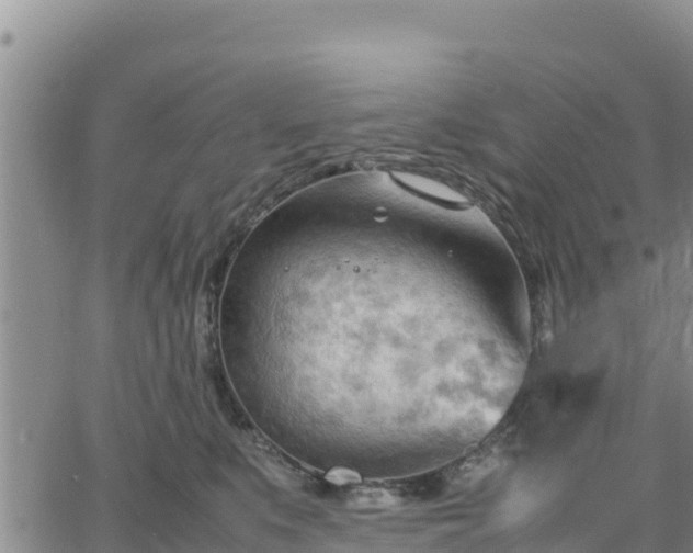 X0000064750519200602171736