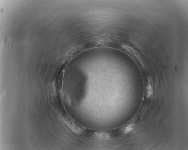 X0000064750520200602171736