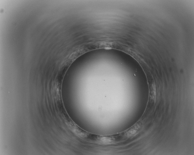 X0000064750522200602171736