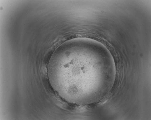 X0000064750523200602171736