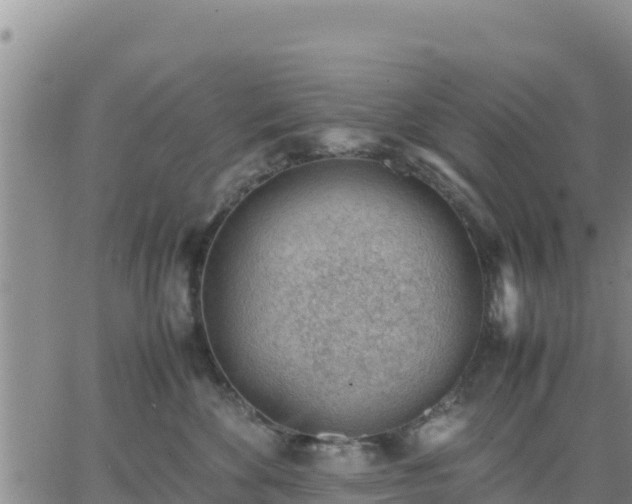 X0000064750524200602171736