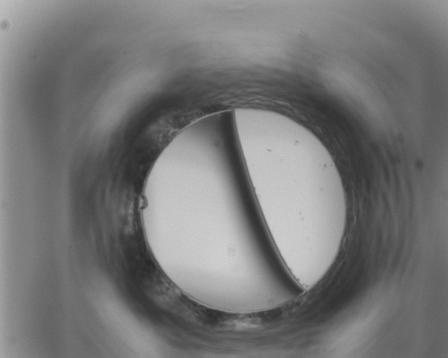 X0000064750525200602171736