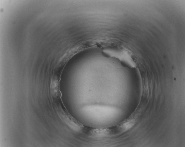 X0000064750526200602171736