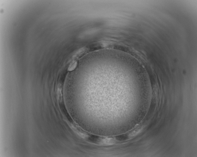 X0000064750527200602171736