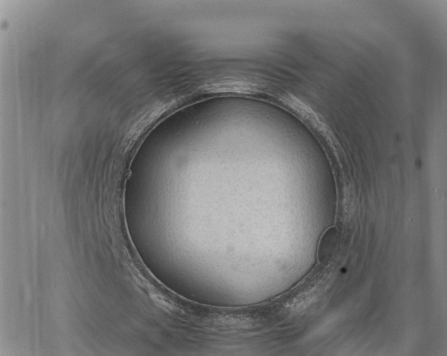 X0000064750529200602171735